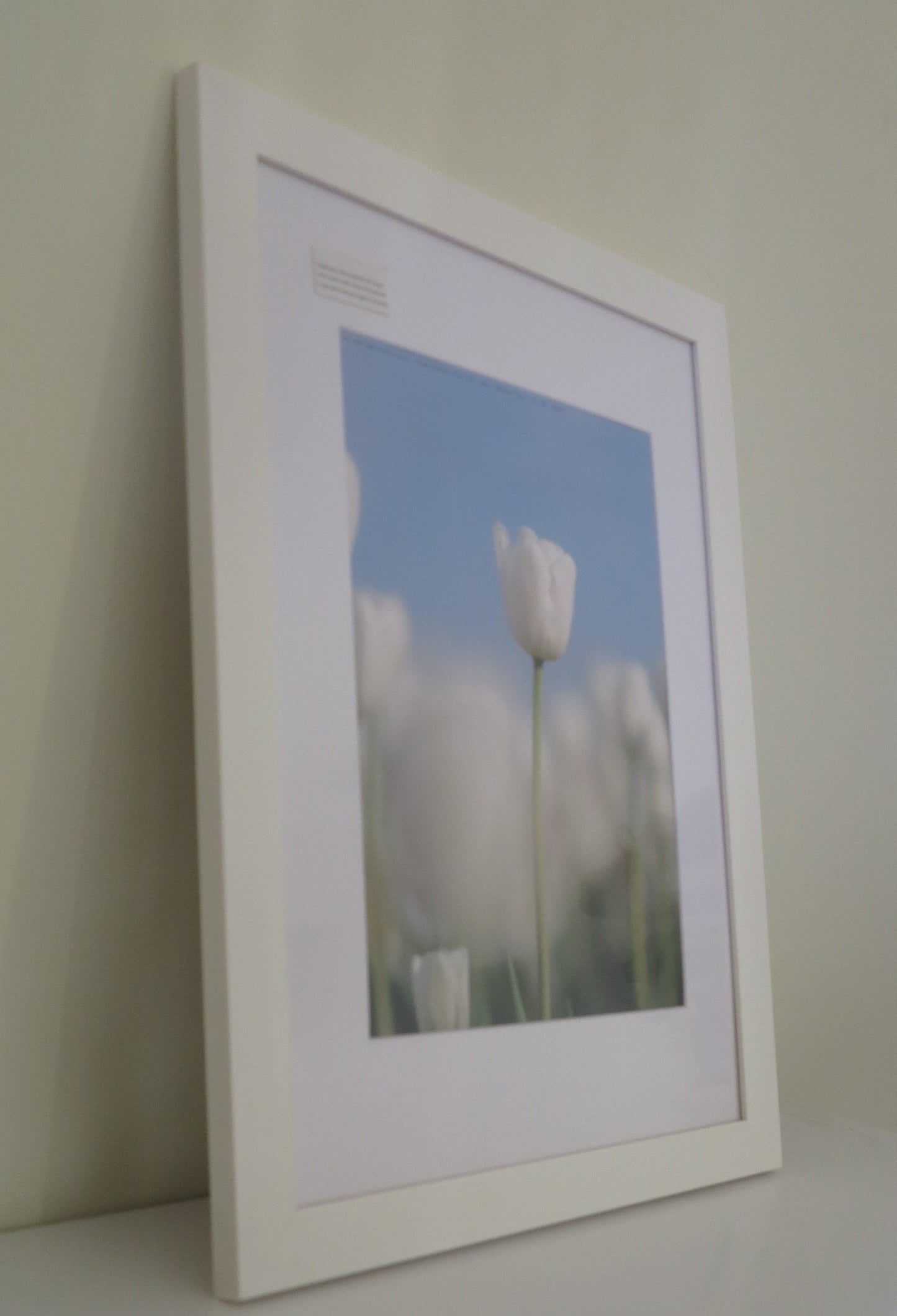 Homeworth Photo Frames - Certificate Series - White, Black or Timber - A4 A3 A2 4X6 5X7 8X10 11X14 12X16 16X20 20X24 24X36 - Babyworth
