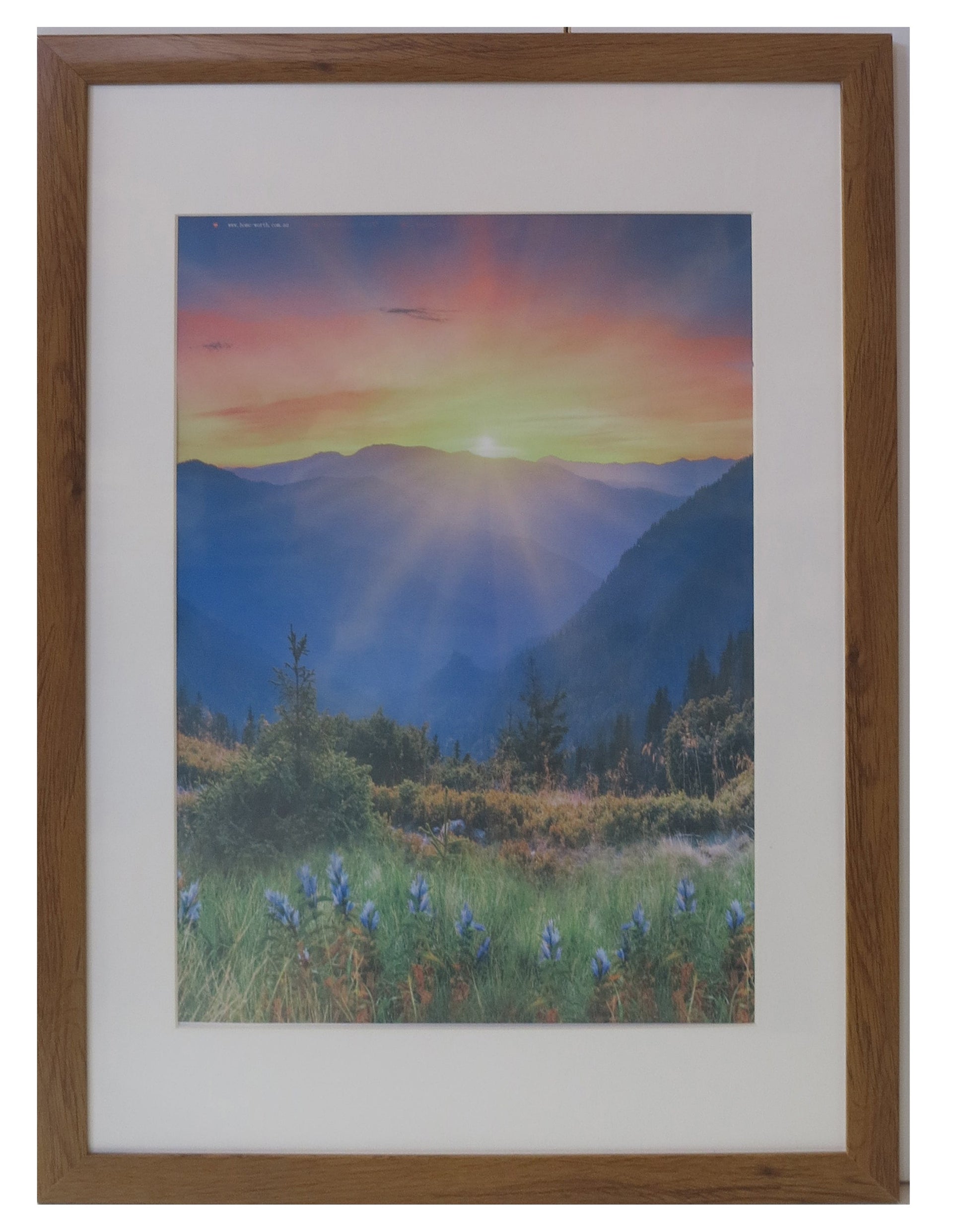 Homeworth Photo Frames - Certificate Series without Mat Border - White, Black or Timber - A4 A3 A2 4X6 5X7 8X10 11X14 12X16 16X20 20X24 24X36 - Babyworth