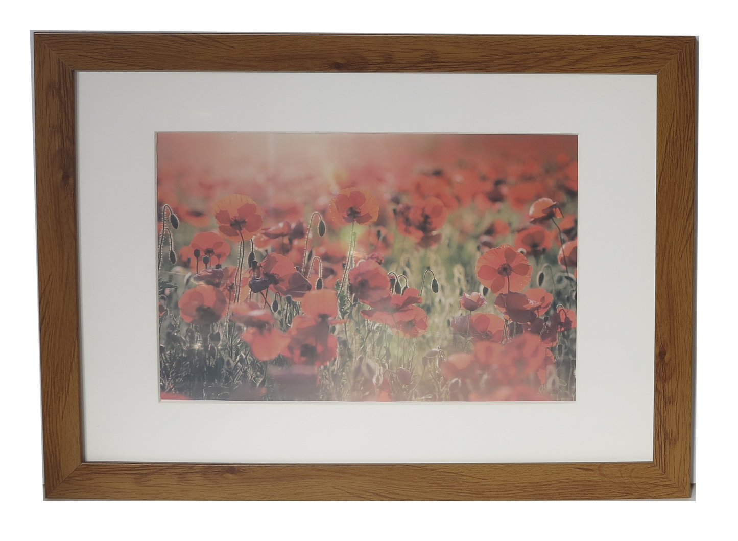 Homeworth Photo Frames - Certificate Series without Mat Border - White, Black or Timber - A4 A3 A2 4X6 5X7 8X10 11X14 12X16 16X20 20X24 24X36 - Babyworth