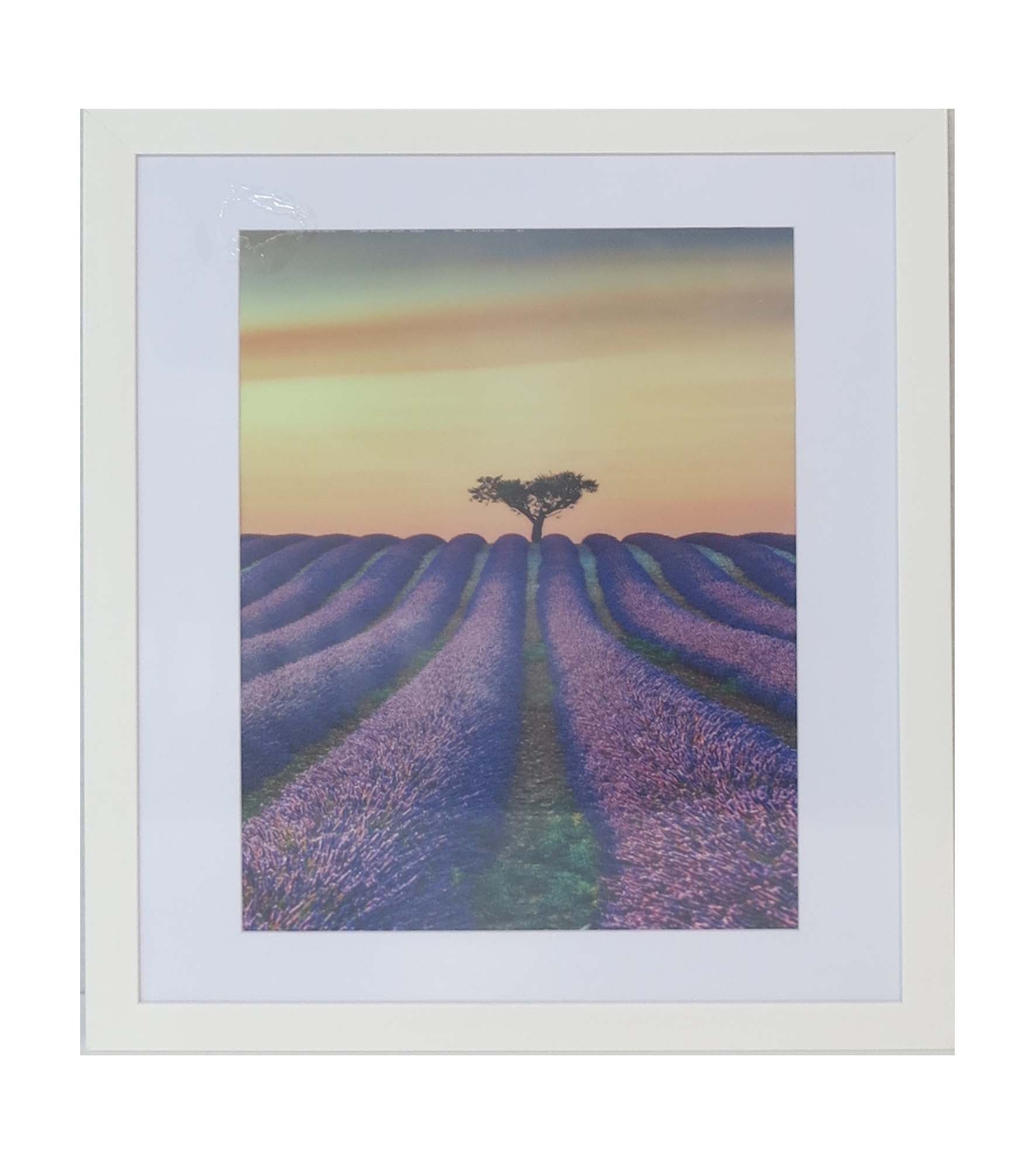 Homeworth Photo Frames - Certificate Series without Mat Border - White, Black or Timber - A4 A3 A2 4X6 5X7 8X10 11X14 12X16 16X20 20X24 24X36 - Babyworth