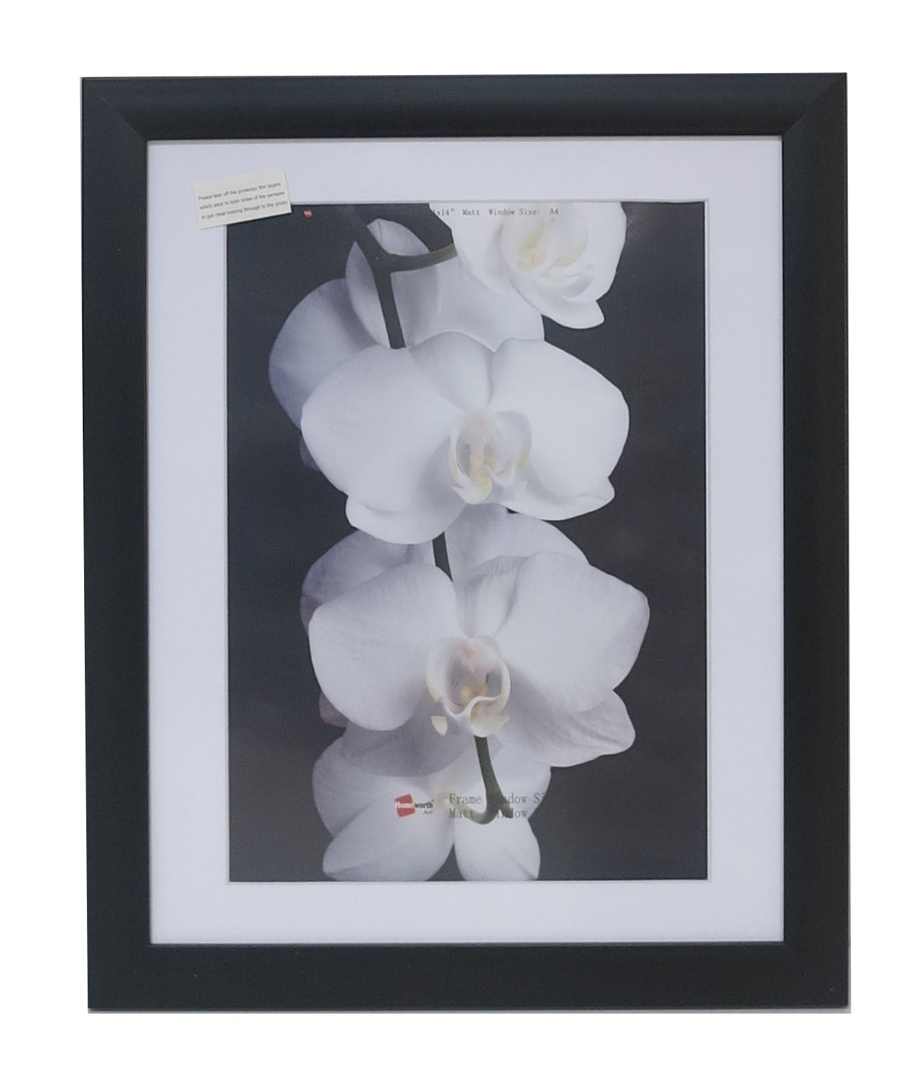 Homeworth Photo Frames - Certificate Series without Mat Border - White, Black or Timber - A4 A3 A2 4X6 5X7 8X10 11X14 12X16 16X20 20X24 24X36 - Babyworth